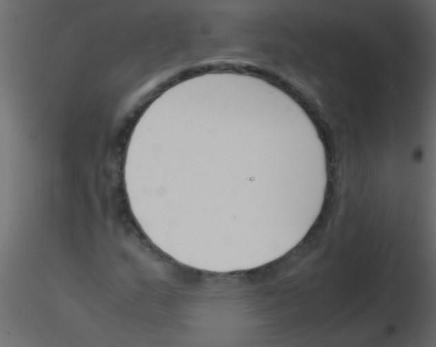 X0000115841159200912242011