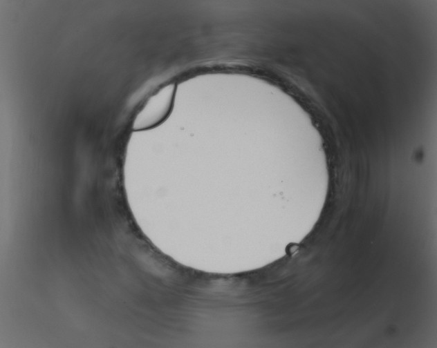 X0000115841160200912242011