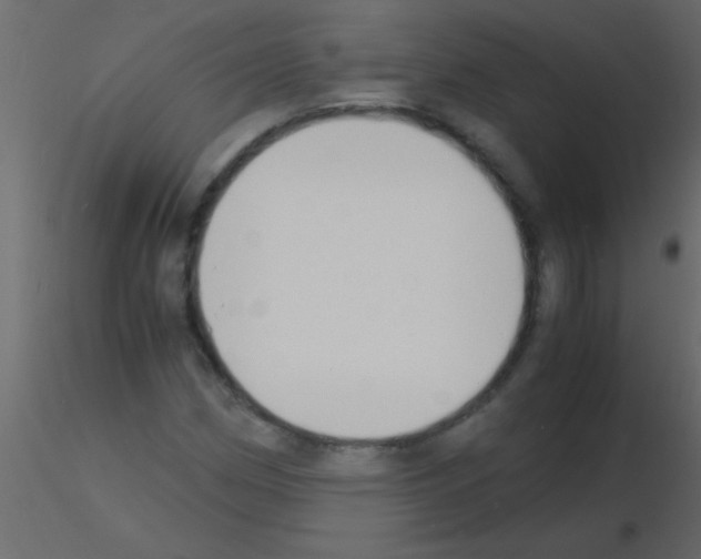 X0000115841162200912242011