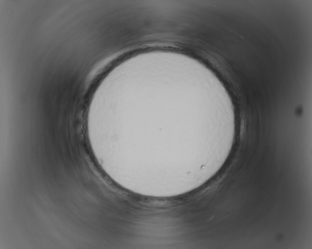 X0000115841164200912242011