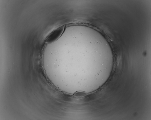 X0000115841165200912242011