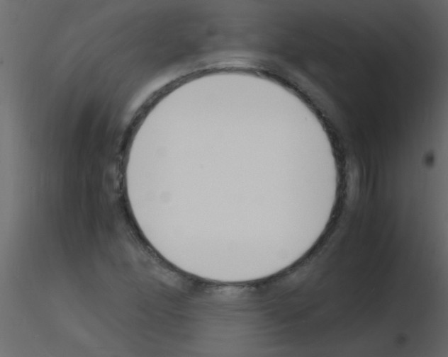 X0000115841166200912242011