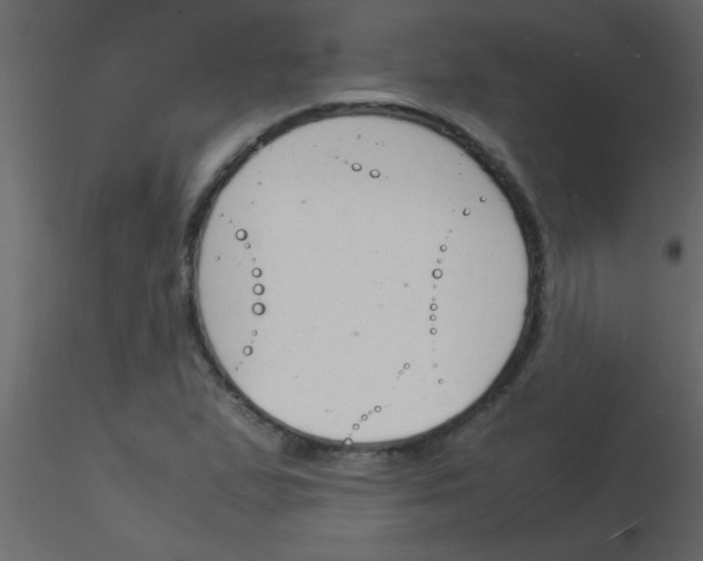 X0000115841167200912242011