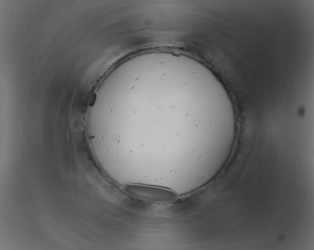 X0000115841169200912242010