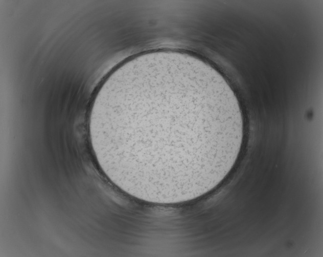 X0000115841170200912242010