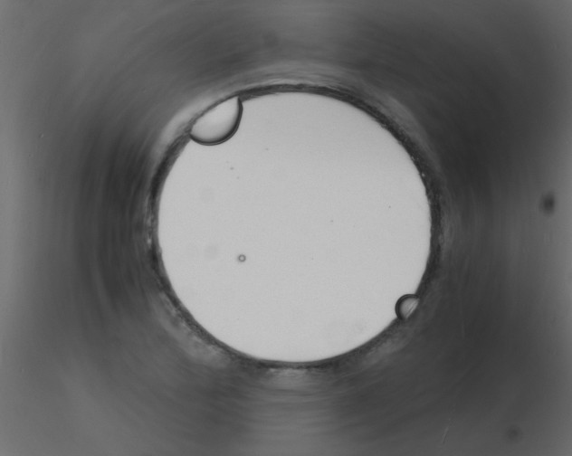 X0000115841172200912242010