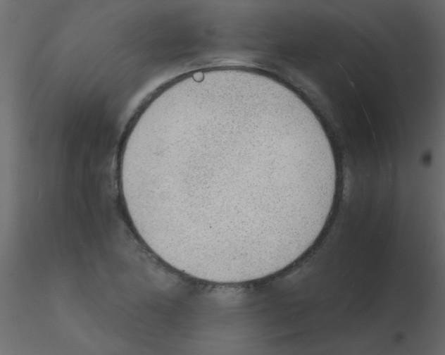 X0000115841174200912242010