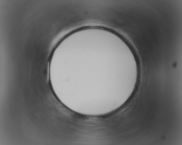 X0000115841175200912242010