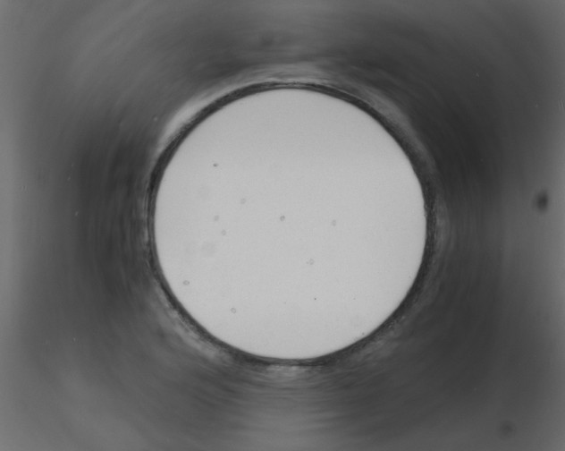 X0000115841176200912242010