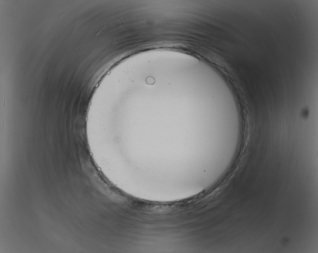 X0000115841177200912242010