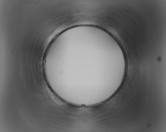 X0000115841181200912242010