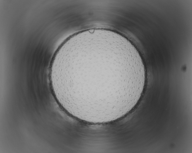 X0000115841182200912242010