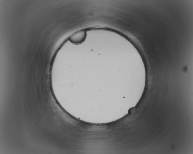 X0000115841183200912242010