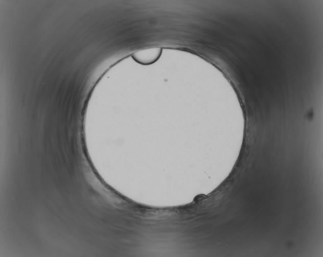 X0000115841187200912242010