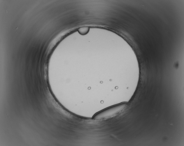 X0000115841188200912242010