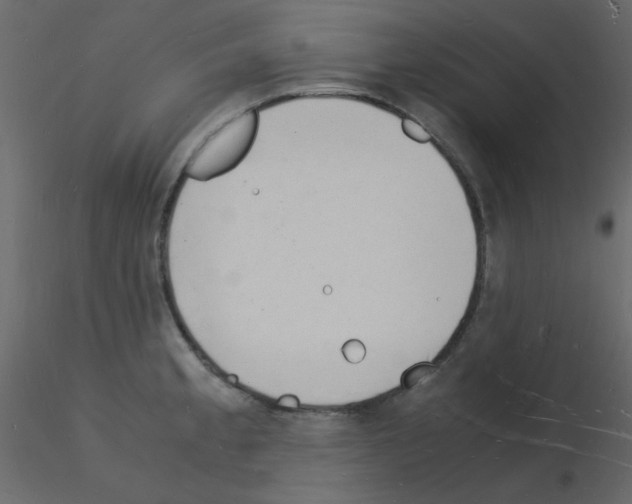 X0000115841189200912242010