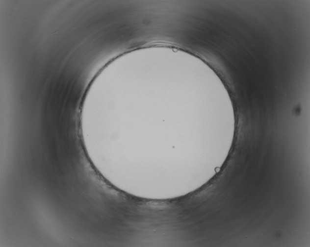 X0000115841190200912242010