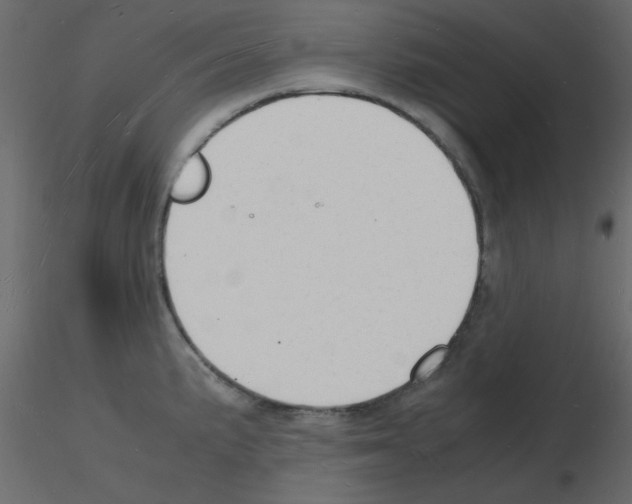 X0000115841191200912242010