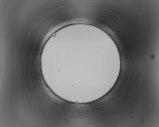 X0000115841192200912242010