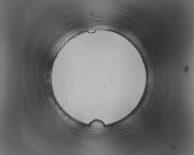 X0000115841193200912242010