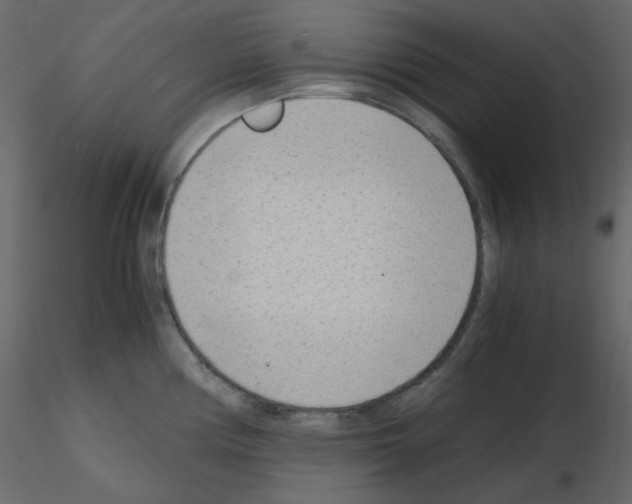 X0000115841194200912242010