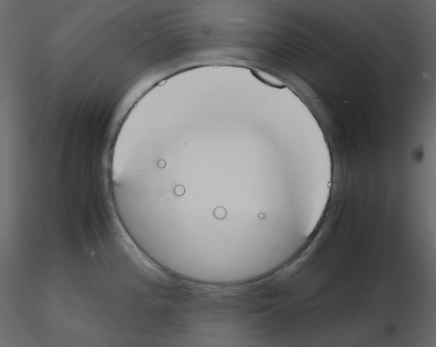 X0000115841196200912242010