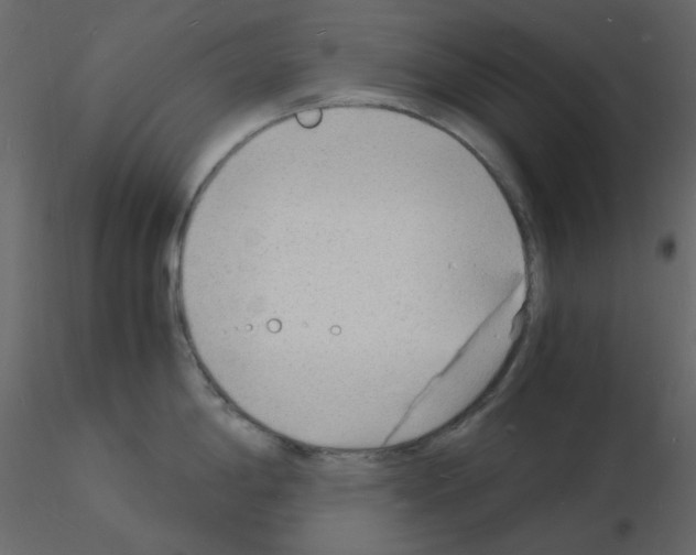 X0000115841198200912242010