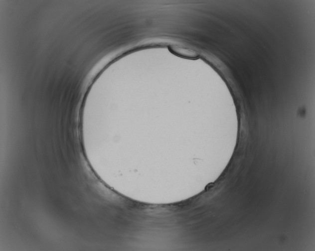 X0000115841199200912242010