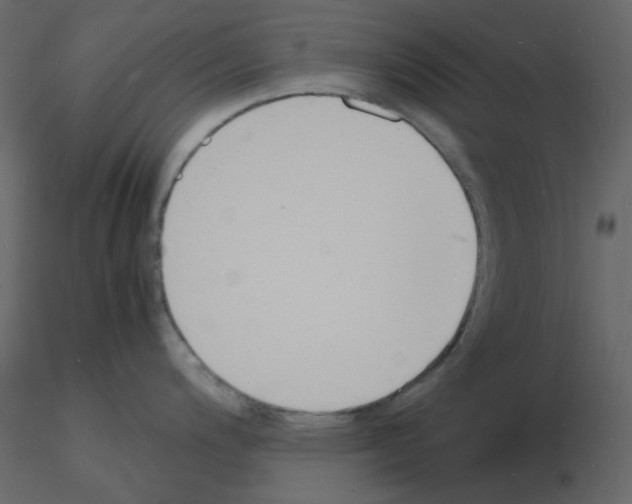 X0000115841200200912242010