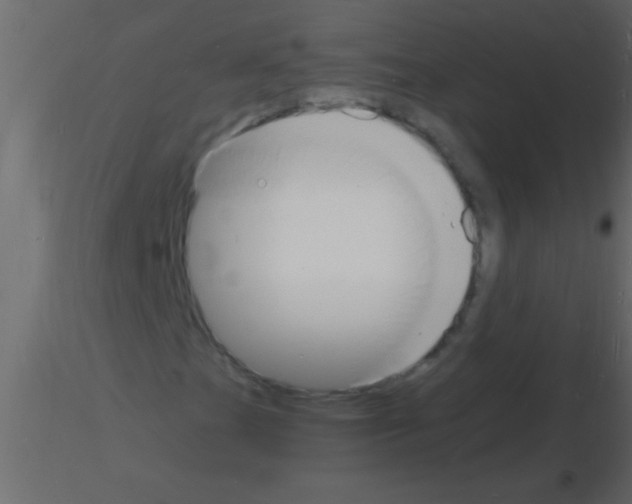 X0000115841201200912242009