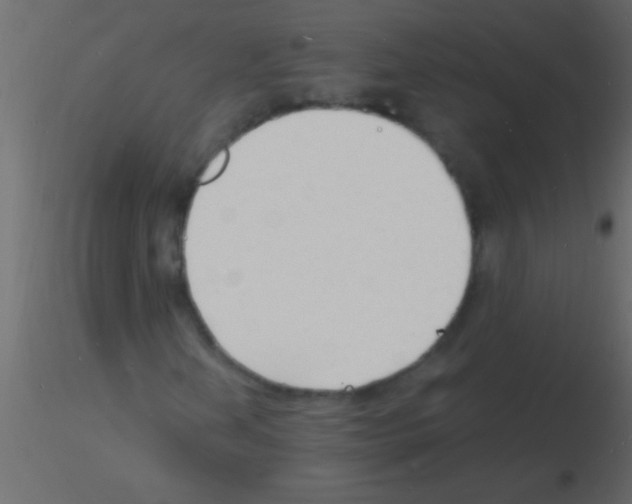 X0000115841202200912242009