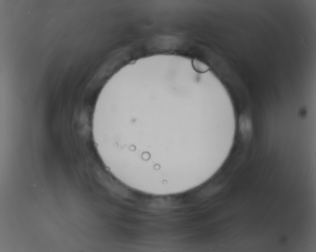 X0000115841203200912242009