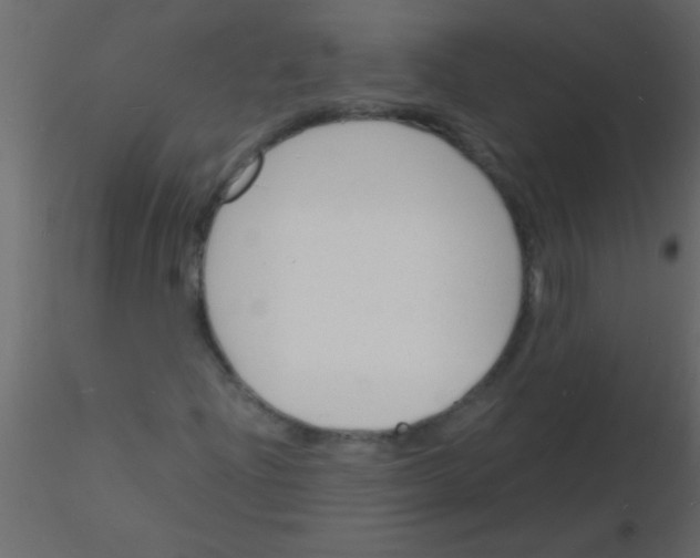 X0000115841204200912242009