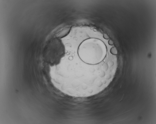 X0000115841205200912242009