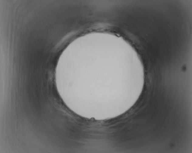 X0000115841206200912242009