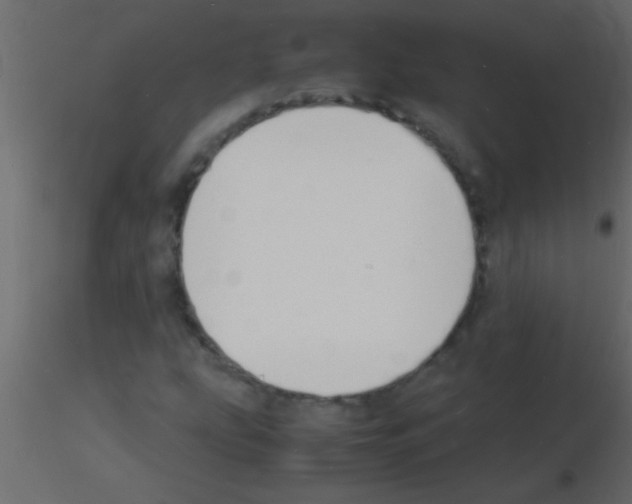 X0000115841207200912242010