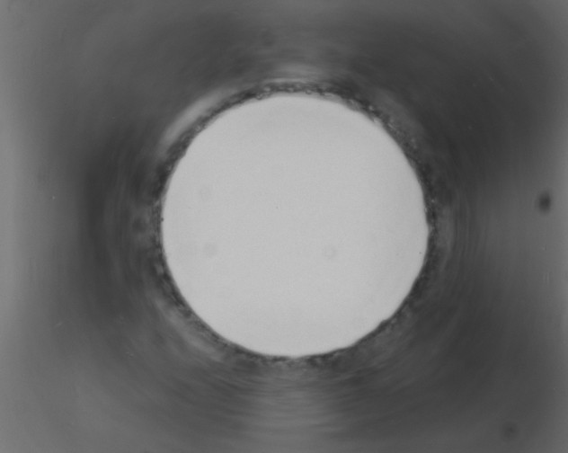 X0000115841208200912242010