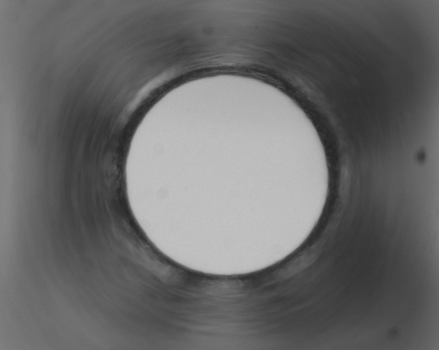 X0000115841210200912242010