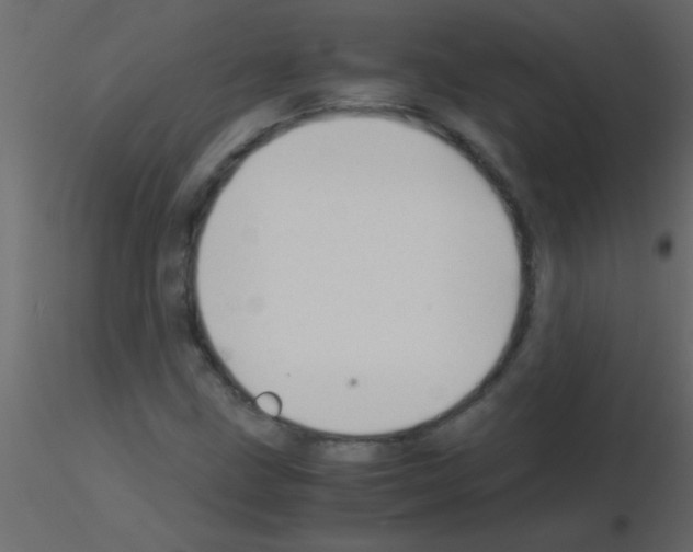 X0000115841211200912242010