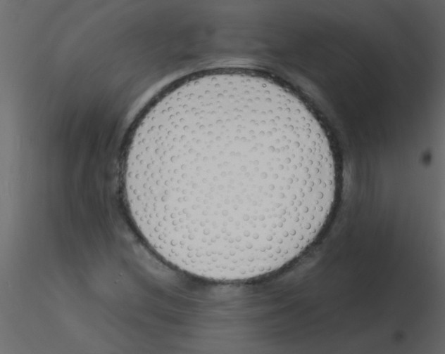 X0000115841212200912242010