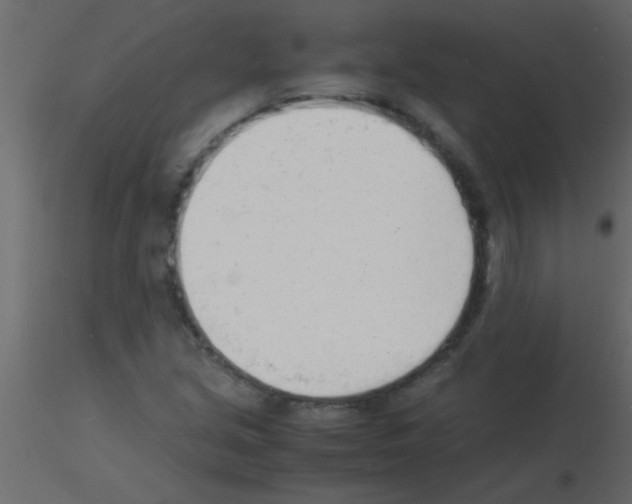 X0000115841213200912242010