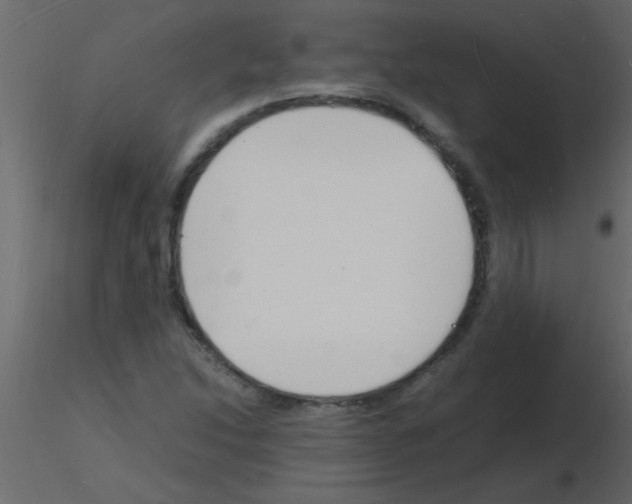 X0000115841214200912242010