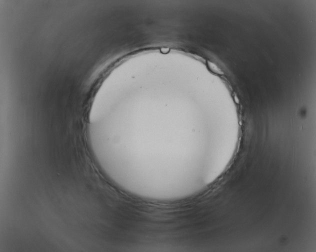 X0000115841215200912242010