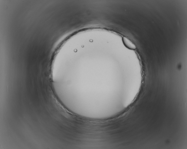 X0000115841216200912242010