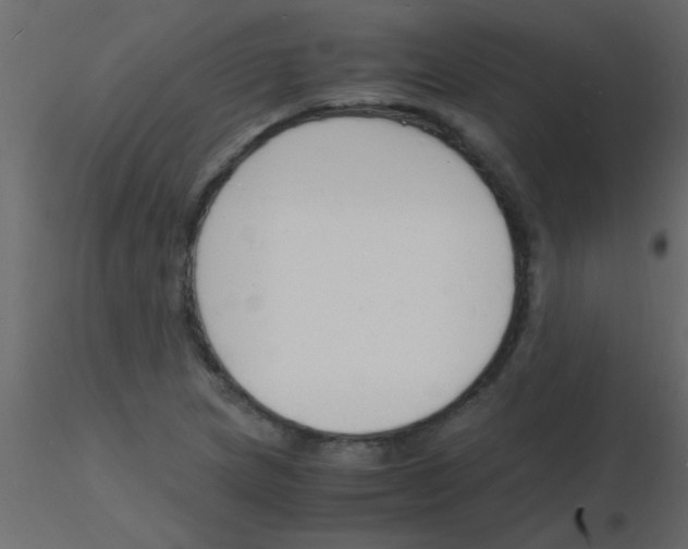 X0000115841217200912242010