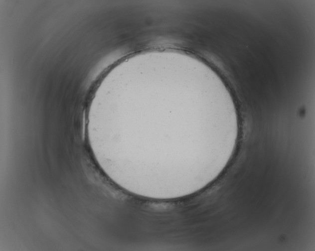 X0000115841219200912242010