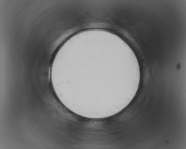 X0000115841221200912242010