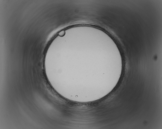 X0000115841222200912242010