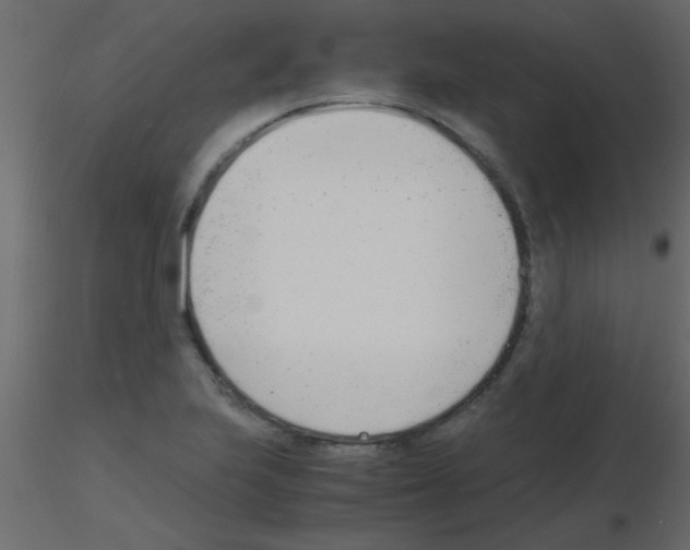 X0000115841223200912242010