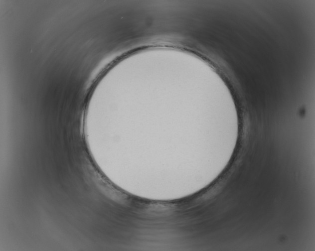 X0000115841224200912242010